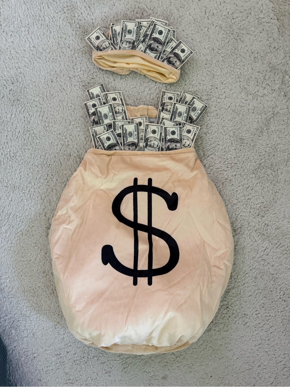 Infant Money Bag Halloween Costume